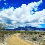 Profile Picture of Janice Holloway (@janice.holloway) on Instagram