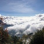 Profile Picture of 施崇道 (@michael_shih_23) on Instagram