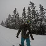 Profile Picture of Andrew Filardo (@waffullfries) on Instagram