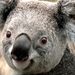 Profile Picture of Joseph Stanton (@josephs1779) on Pinterest