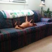 Profile Picture of Daniel Hurley (@DanielHurley-f8f) on Youtube