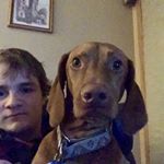 Alex Reich - Instagram Profile Picture of Alex Reich (@alex.reich12) on Instagram