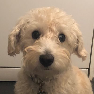 Profile Picture of Chris Winter (@ChrisEWinter) on Twitter