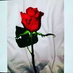 Profile Picture of maria Schmidt (@mariaschmidt852) on Instagram