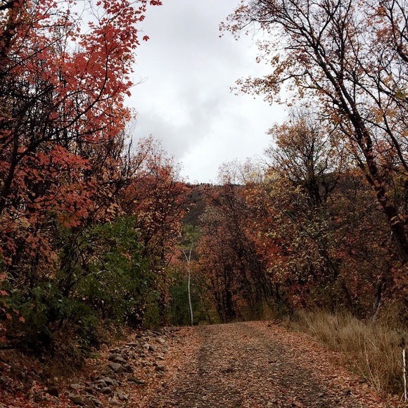 Profile Picture of Kelsey Engberson (@kengberson) on Poshmark