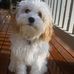 Profile Picture of Carolyn McCartney (@carolyn.mccartney.9) on Facebook