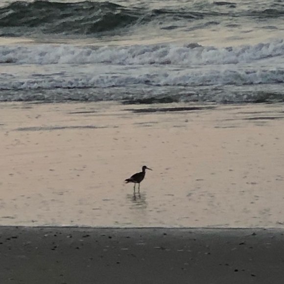 Profile Picture of Alison Glasgow (@lac33g) on Poshmark