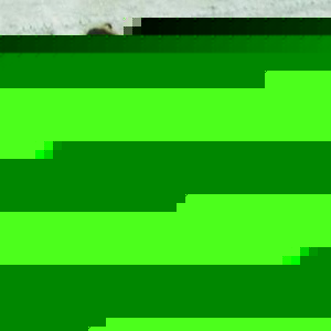 Profile Picture of Donna Capone (@106151545) on Myspace