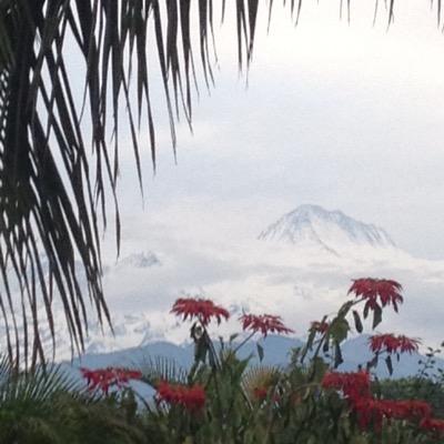 Profile Picture of Solar68 (@GillesRoduit) on Twitter