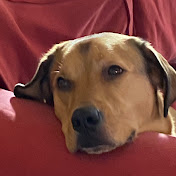 Profile Picture of Josh LaFountain (@joshlafountain7614) on Youtube