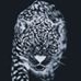 Profile Picture of David Nicasio (Gonzalez) (@david.nicasio.90) on Facebook