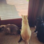 Jonathan Greig - Instagram Profile Picture of Jonathan Greig (@jonathan_greeeg) on Instagram