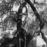 Profile Picture of Bruno Toledo (@bruno-toledo-2) on Quora