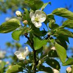 Profile Picture of kylee barber (@kyleebarber4) on Instagram