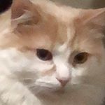Profile Picture of justin_richardsonnolet (@justin_richardsonnolet) on Instagram