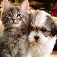 Haley Veal - Quora Profile Picture of Haley Veal (@haley-veal) on Quora