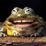 Blasphemer 🤔 Schemer 👹 Memer - Instagram Profile Picture of Blasphemer 🤔 Schemer 👹 Memer (@blasphemousbabby) on Instagram