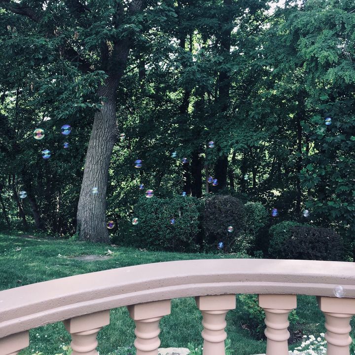 Profile Picture of • nola • (@irish_peacock) on Tiktok