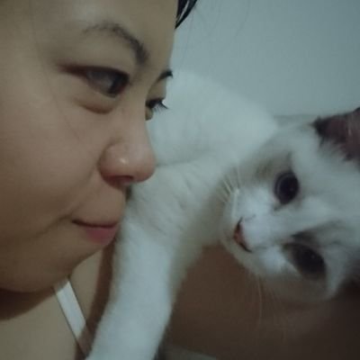 Profile Picture of ApriL CheunG (@aprilky) on Twitter