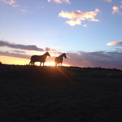 Profile Picture of Matthew McEvoy (@MatthewMcEvoy1) on Twitter