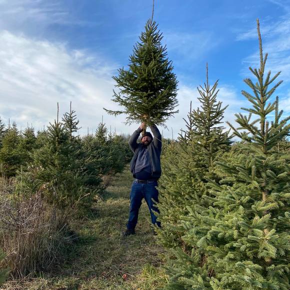 Profile Picture of Shaun Graham (@bramp30) on Poshmark