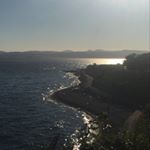 Profile Picture of Stacie (@stacie_lambiecam) on Instagram