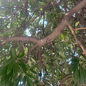 Profile Picture of Navdeep Singh194 (@NavdeepSingh-c2u) on Youtube