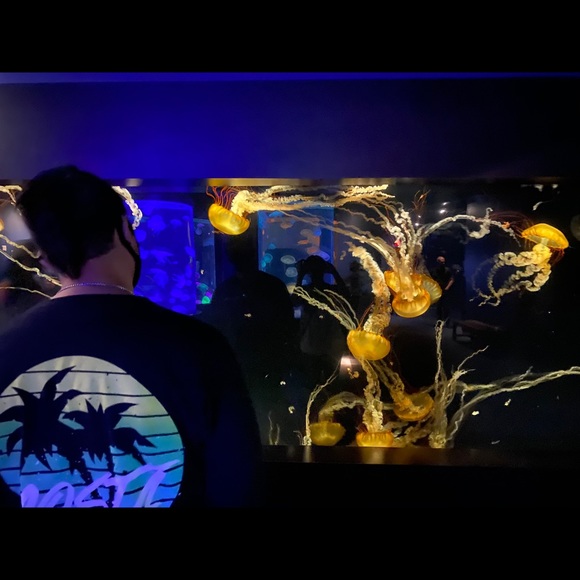 Profile Picture of Zach Lintner (@lintnerz14) on Poshmark