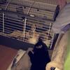 Profile Picture of Alice Visser (@@alicesnoepy2017) on Tiktok