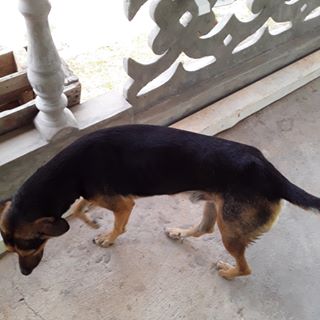 Profile Picture of Rene Lezcano (@rene.lezcano.98) on Facebook