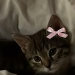 Profile Picture of Albert Silvera (@albert.silvera.5) on Facebook