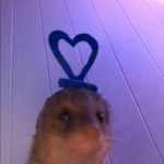 Profile Picture of Whitney Stratton (@whitney_spammss) on Instagram