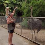 Profile Picture of Jodie Schmidt (@jodie.schmidt) on Instagram