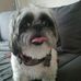 Profile Picture of Jim Stambaugh (@jim.stambaugh.71) on Facebook
