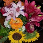 Profile Picture of Aimee Greeder (@aimeegreeder) on Instagram