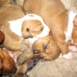 Sandy McGee - Instagram Profile Picture of Sandy McGee (@sizzlermcgee) on Instagram