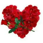 Profile Picture of Adam Orchard (@adam.orchard) on Instagram