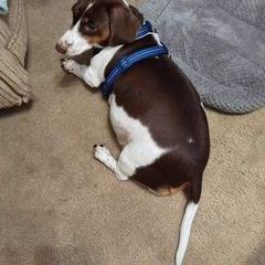 Profile Picture of scottraymer139 (@scottraymer139) on Tiktok