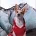 Profile Picture of Rob Amend (@rob.amend.7) on Facebook