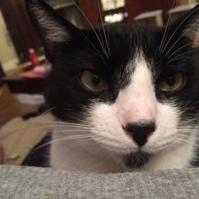 Profile Picture of Dawn Matherly (@@DawnM76) on Twitter