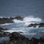 Profile Picture of todd cushing (@cushingtodd) on Instagram