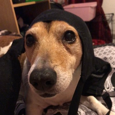 Profile Picture of White Fudge (@ConorSteez) on Twitter