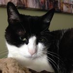 Sheri Garnett Rottman - Instagram Profile Picture of Sheri Garnett Rottman (@sherirottman) on Instagram