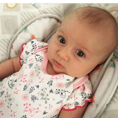 Profile Picture of Birdie Joe Danielson (@babyBirdieJoe) on Twitter