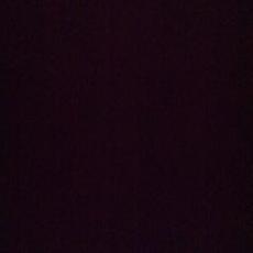 Profile Picture of Victor Hugo Enciso (@elhugoenciso659) on Twitter