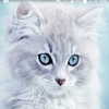 Profile Picture of Alishakeyes ❤ (@@alishakeyes) on Tiktok