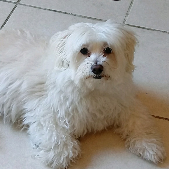 Profile Picture of Maria Leary (@marpul) on Poshmark