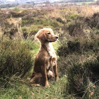 Profile Picture of Pete (@PeterJamesmars3) on Twitter