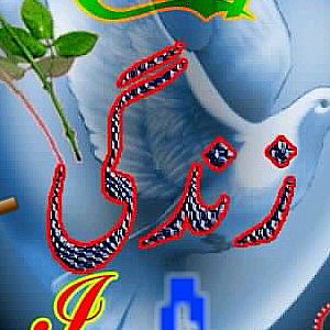 Profile Picture of chander (@chanderrai556) on Tiktok