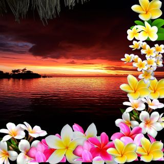 Profile Picture of Backsand Jay (@backsand.jay) on Facebook